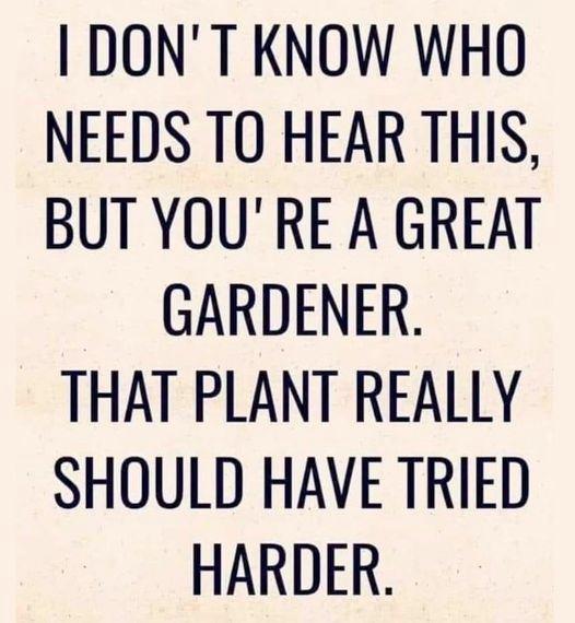 plant-try-harder.jpg